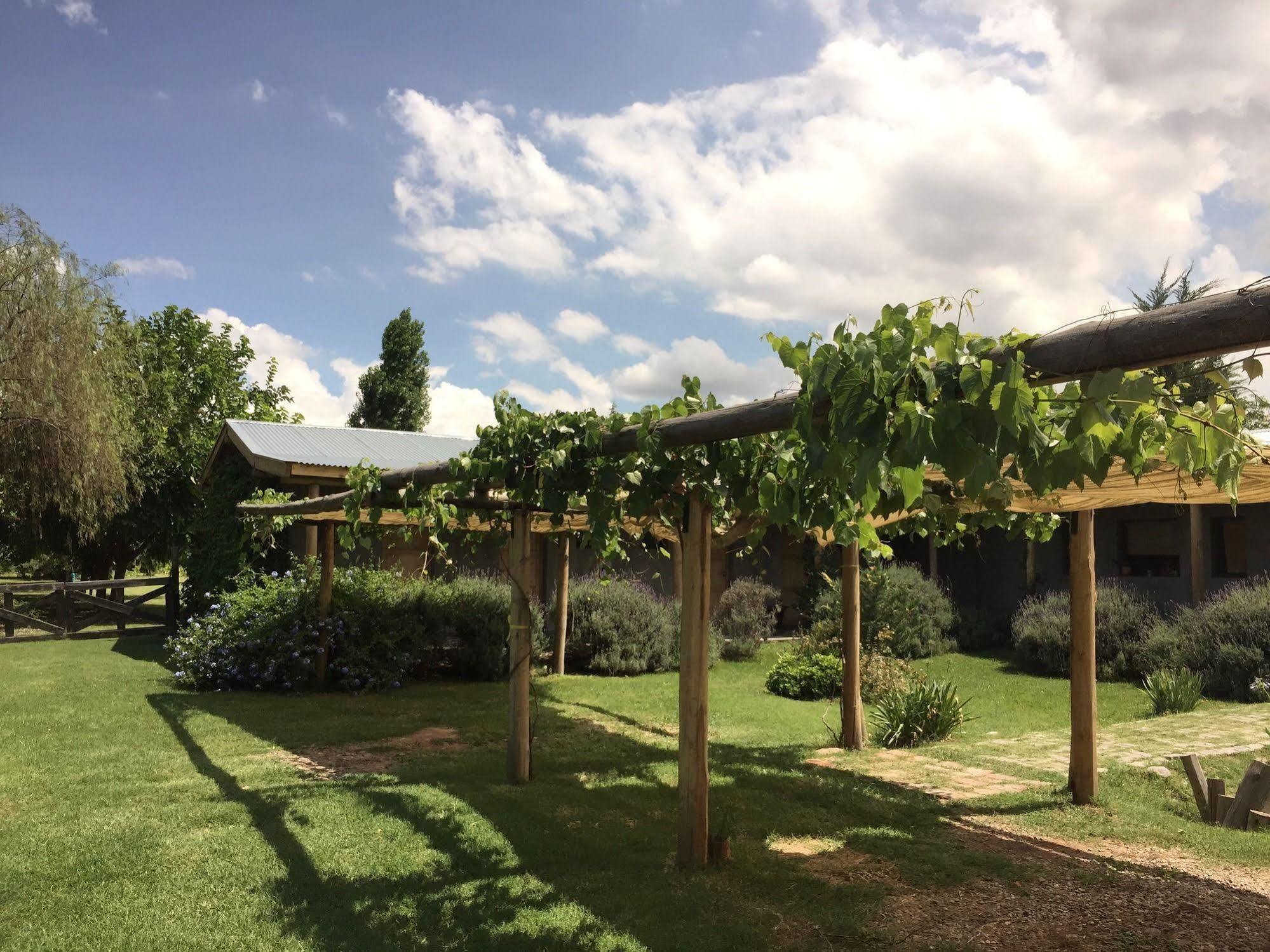 Tikaykilla Lodge & Wines Maipu  Exterior photo